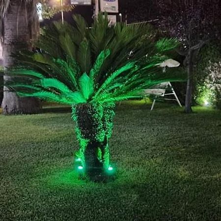 Acconia B&B The King מראה חיצוני תמונה